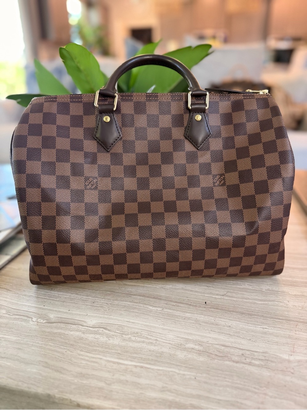 Louis Vuitton Damier Ebene Speedy 35